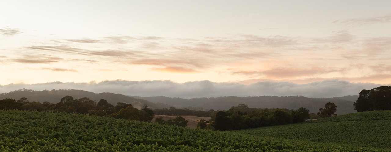 Adelaide Hills scenery at sunset 