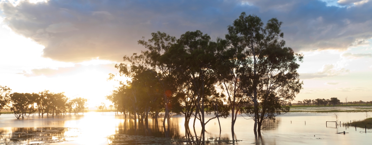 How does climate change affect my home insurance? | Bendigo Bank
