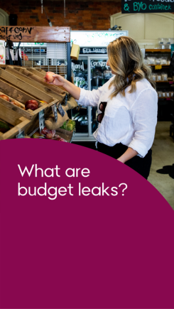What are budget leaks?