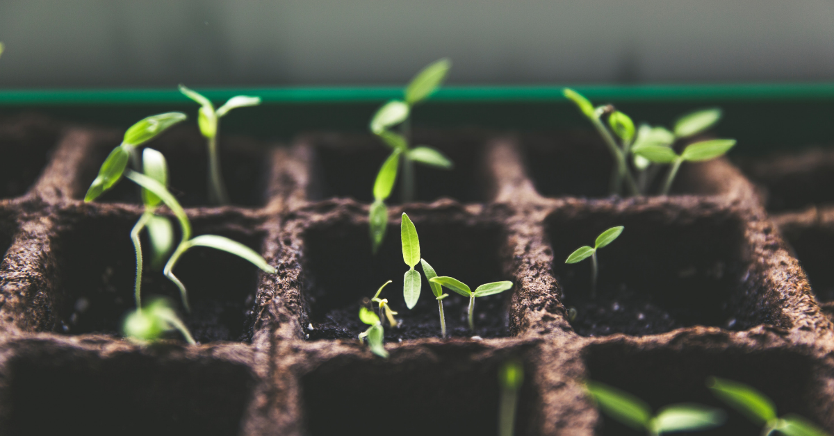 How to consolidate your super Bendigo Bank