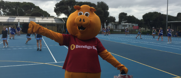 Barwon Heads Community Bank Branch mascot, a big yellow pig, standing on tennis courts after club received funding from the branch.