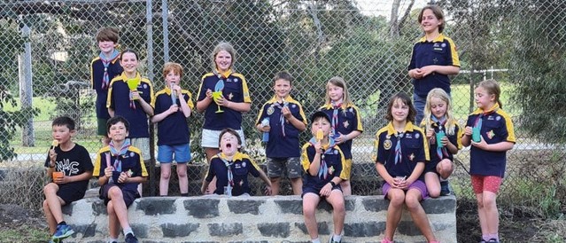 A group of children in Scouts uniforms