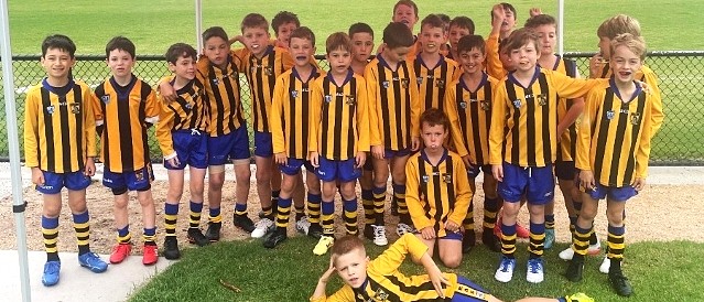 A group of children wearing yellow and brown AFL football jumpers.