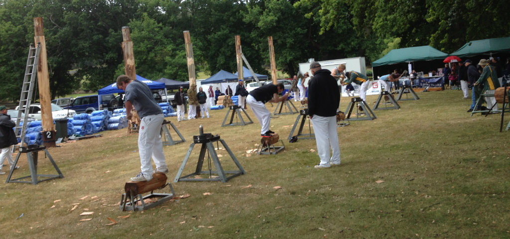 Men at local wood chop festival in the wood chop process.