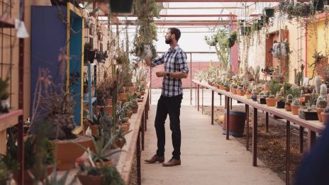 Man working at a nursery