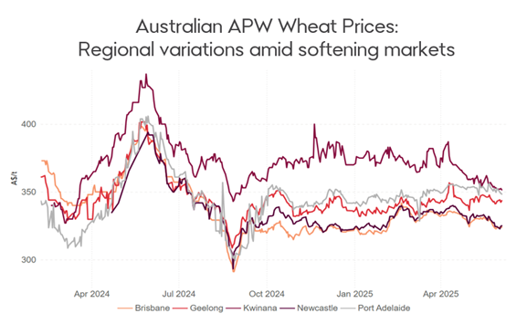 A graph showing monthly regional variations in APW wheat prices from April 2024 to April 2025 against tonnes in Australian dollars across Brisbane, Geelong Kwinana, Newcastle and Port Adelaide. Over the year we have seen prices across dry regions including South Australia and Victoria find greater price support, though prices are expected to soften as northern hemisphere harvest gets underway.