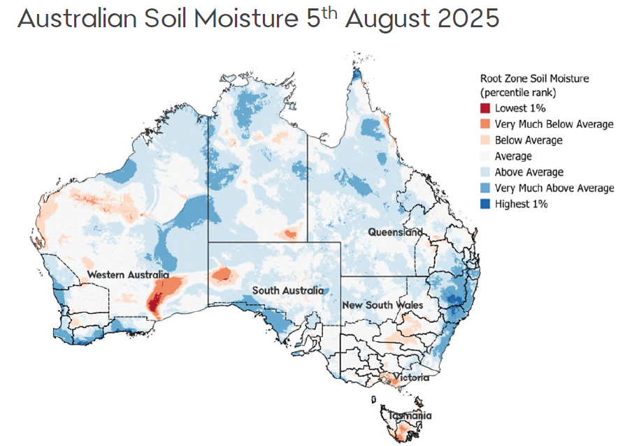 A map showing root zone soil moisture levels across Australia’s key cropping regions. Late July rainfall boosts Victorian and SA crop potential: favourable spring conditions critical to maintain.