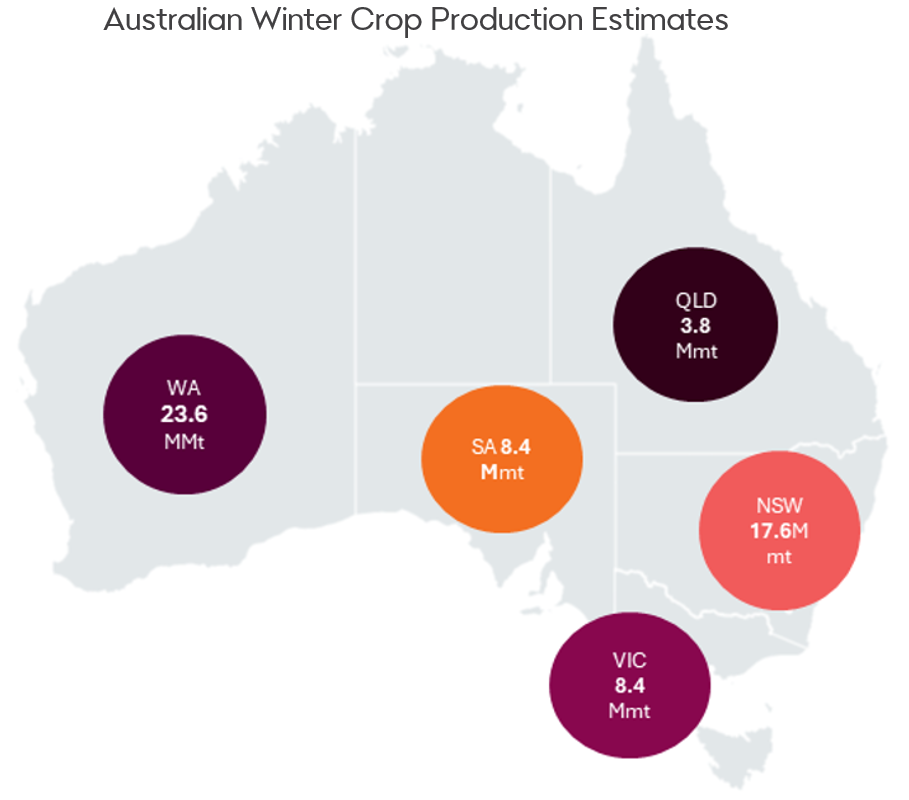 A map of Australia showing current winter crop production estimates for each state in Million Metric Tonnes. Western Australia continues to see upwards revisions to its output which has benefited from a favourable finish. Rainfall across South Australia and Victoria has also seen production estimates stabilised after a dry September. 