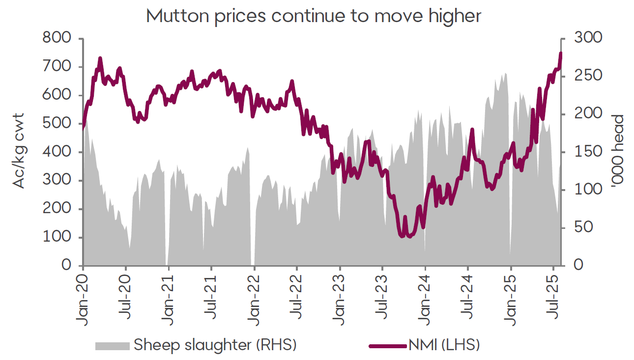 A graph showing the National Mutton Indicator and lamb slaughter between January 2020 and now. Mutton prices have continued to climb over the past few months to continue their record run. Slaughter rates have tightened across winter.