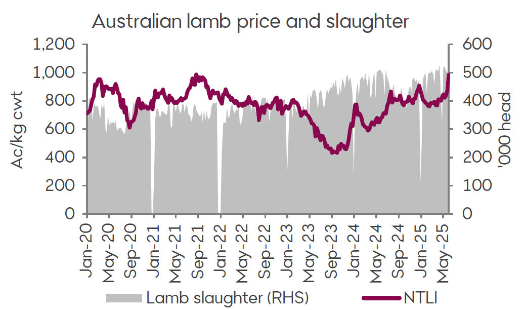 A graph showing the National Trade Lamb Indicator and lamb slaughter between January 2020 and May 2025. The Trade Lamb Indicator on the left-hand side of the graph is measured in Australian cents per kilo carcass weight. Slaughter rates on the right-hand side is measured in thousand head per week. Lamb prices hit record levels in the last week of May following supply disruptions out of Tasmania which currently sit at just under 1000 cents. Slaughter rates have also hit their highest level in over five years.