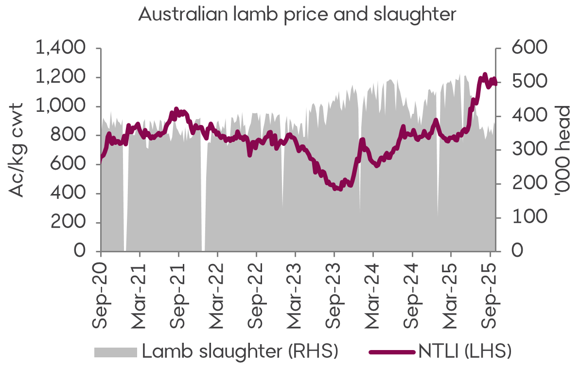 A graph showing the National Trade Lamb Indicator and lamb slaughter between September 2020 and now. Lamb prices have maintained most of their recent strength, while processing rates remain comparatively lower.   